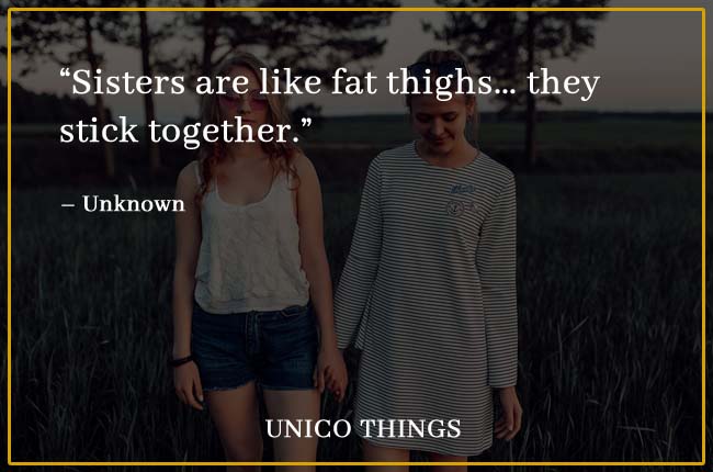 funny quotes on sister