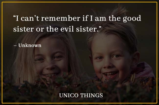 Funny Sister Quotes
