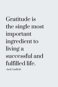 105 Gratitude Quotes To Be Grateful For Everything (2022)