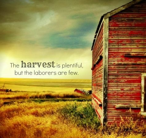 top-47-most-inspiring-quotes-on-harvesting-2023