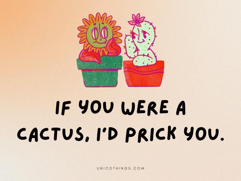 87 Cactus Puns That Are Funny to Make You Laugh