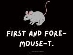 55+ Mouse Puns That Will Spread Laughs