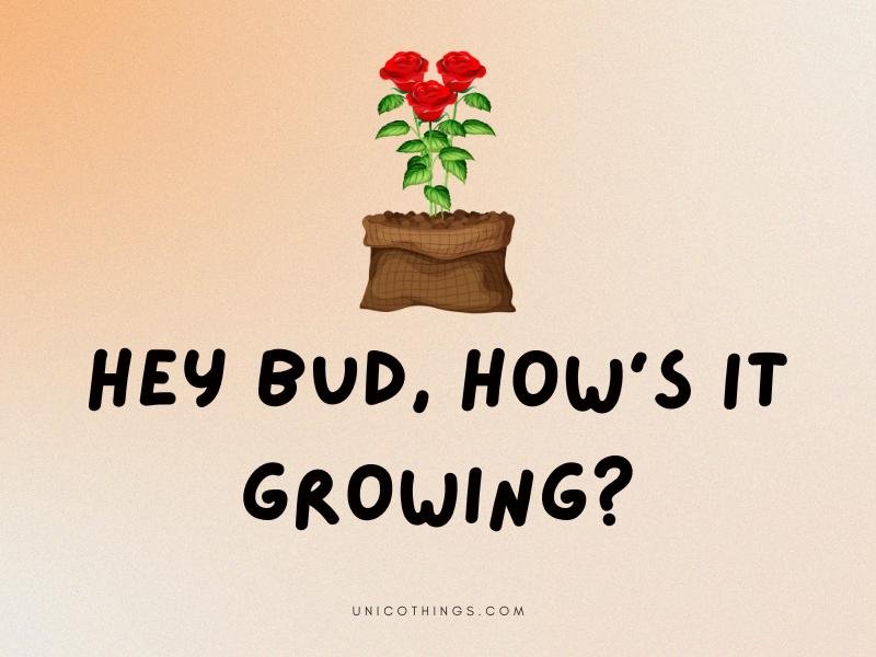163 Funny Rose Puns That Are Hilarious to Read