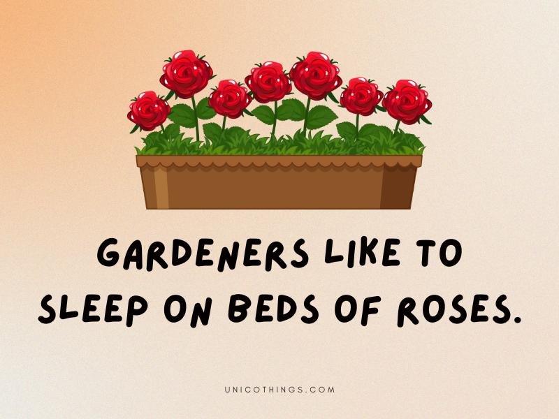 163 Funny Rose Puns That Are Hilarious to Read