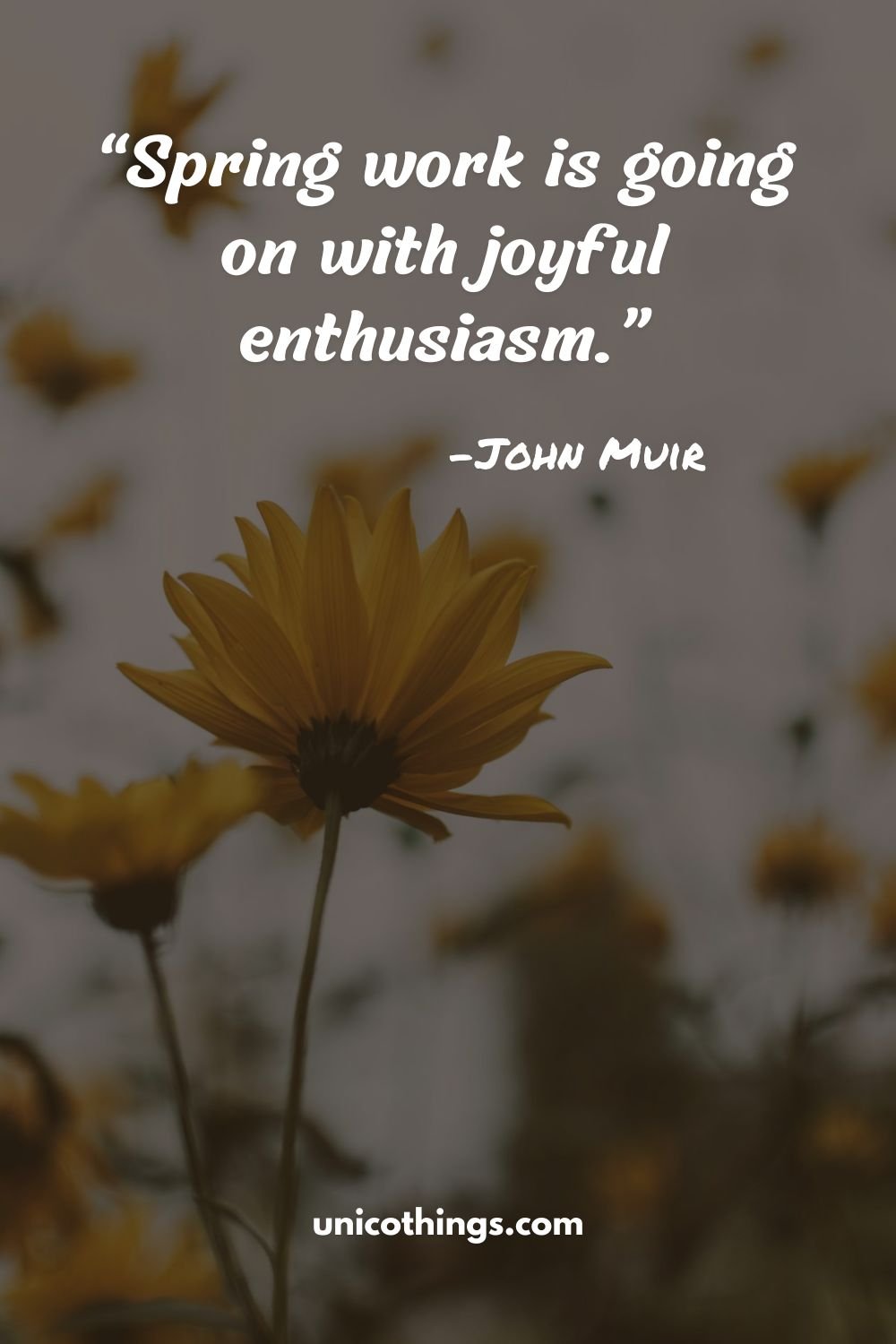 55 Inspirational Spring Quotes For Celebrating Life (2024)